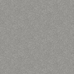 ???????????????????????????????????????