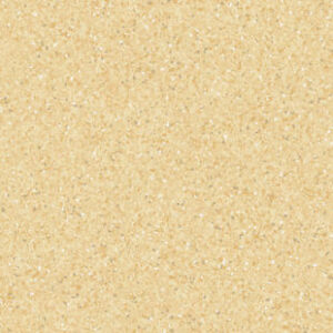 TH_21010661_21011661_800_800