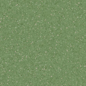 TH_21010681_21011681_21014681_800_800