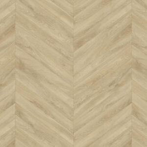 ??????????????????????????????????????????????