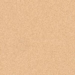 ?????????????????????????????????????????????????