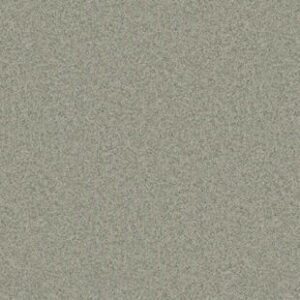 ???????????????????????