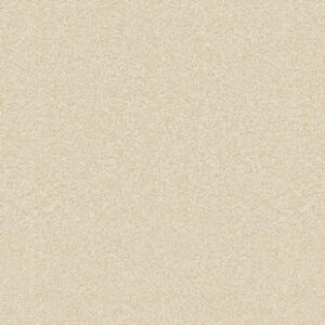 ???????????????????????