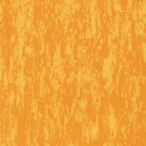 TH_1844830_001_800_800