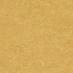 ???????????????????????????????????????????????????????????????????????????????????????