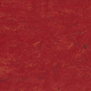 ?????????????????????????????????????????????????????????????