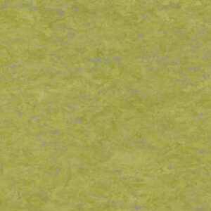 ???????????????????????????????????????????????????????????????????????????????????????