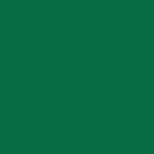 TH_OMNISPORTS_FIELD GREEN