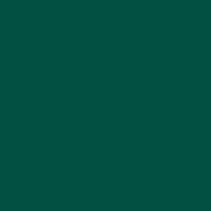 TH_OMNISPORTS_FOREST GREEN