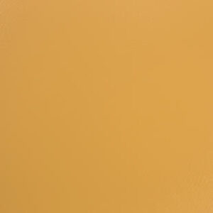 TH_OMNISPORTS_YELLOW